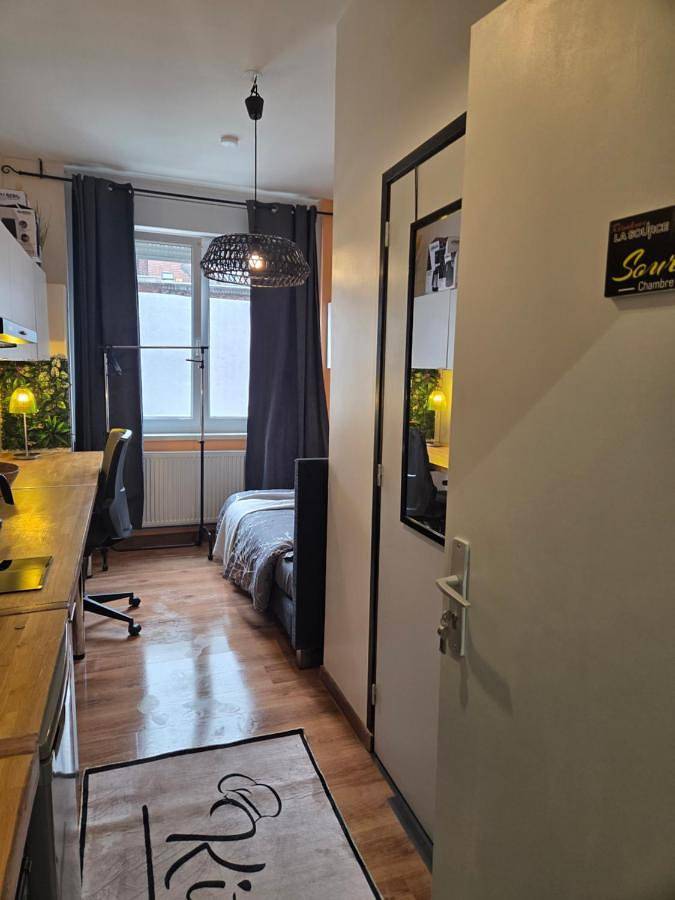 Maison d’hôte pour 2 personnes, avec terrasse et jardin à Roubaix - 4