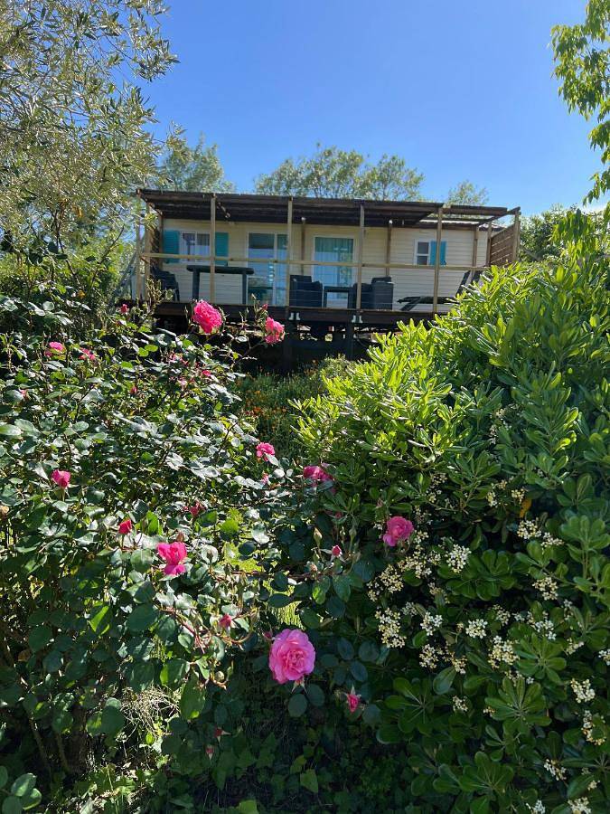 Bungalow bleu in Roquebrune-sur-Argens, Côte méditerranéenne (France)