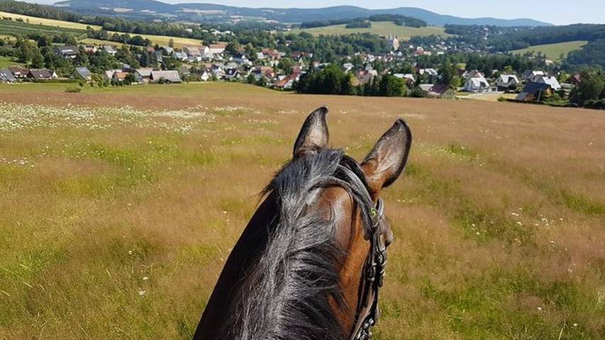 Ferienwohnung für 5 Personen in Schirgiswalde-Kirschau