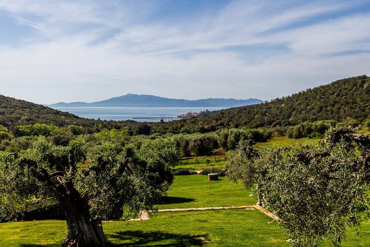 Entire apartment, Apartment 'Casa Marino' with Sea View, Wi-Fi and Air Conditioning in Orbetello, Parco Naturale della Maremma
