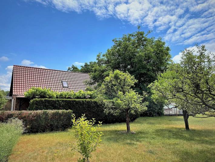 Ferienwohnung für 4 Personen, mit Terrasse und Garten in Lauta - 2