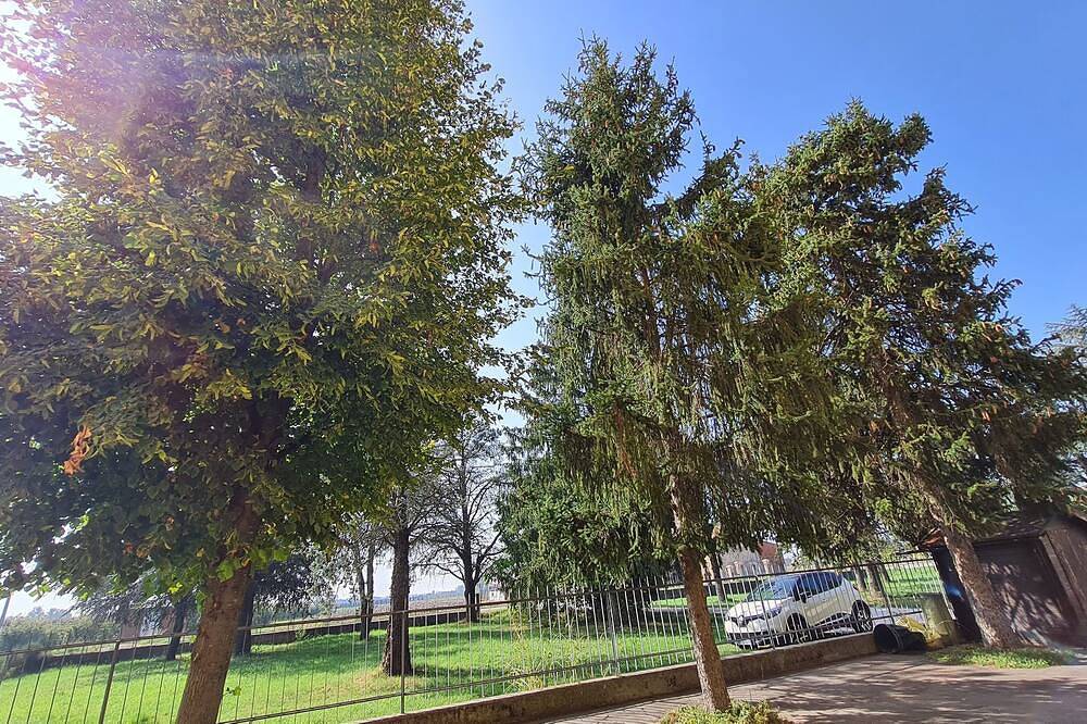 Appartamento intero, Verde Valli B&B Mirandola in Mirandola, Provincia di Modena