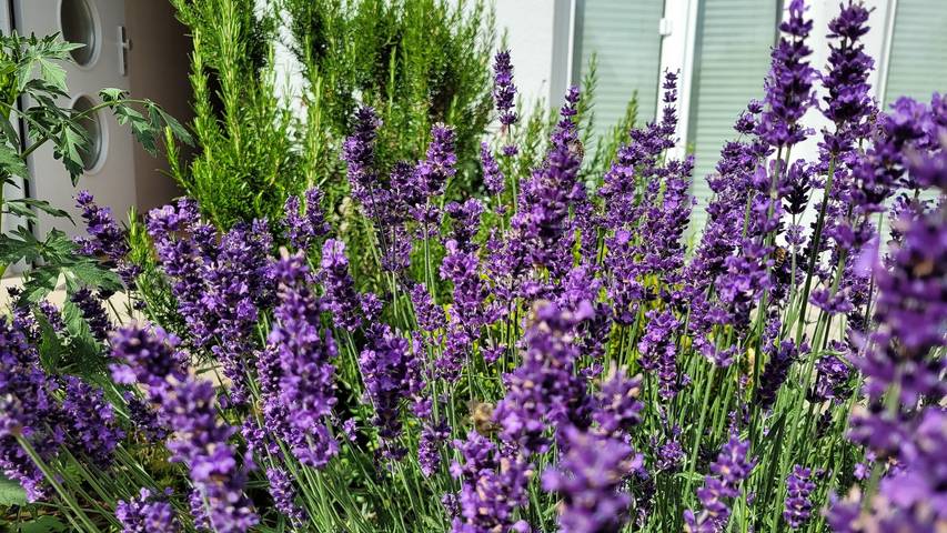 Ferienhaus für 2 Personen, mit Garten in Bayerischer Jura - 2