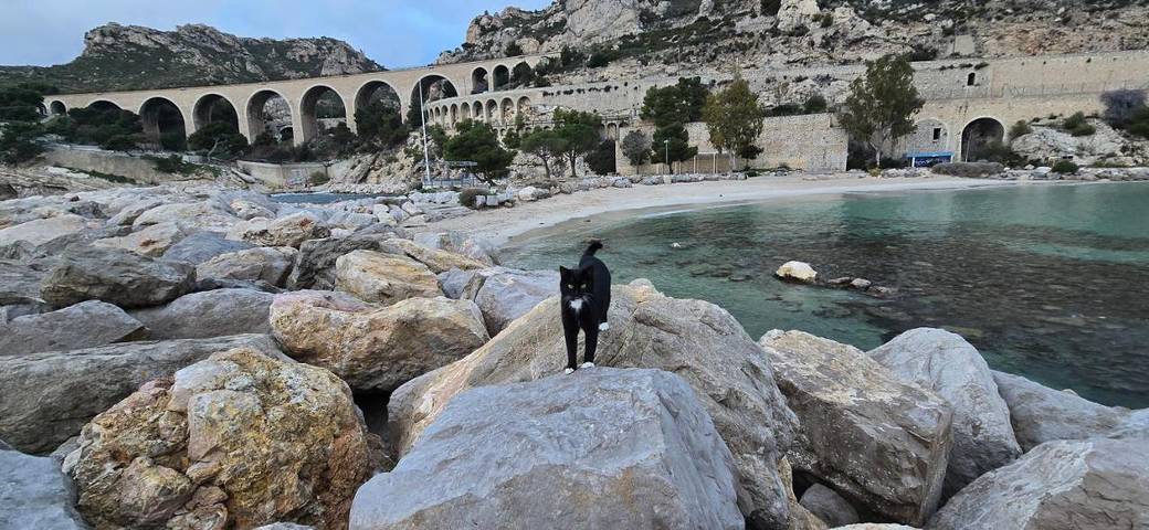 Gîte pour 6 personnes, avec balcon et vue dans Port de l'Estaque - 2