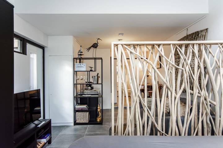 Gîte pour 3 personnes, avec jardin et terrasse, animaux acceptés à Zandvoort - 2