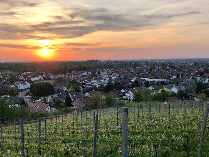 Ferienhaus, mit Terrasse und Garten sowie Ausblick in Achern