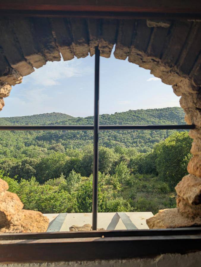 Location de vacances pour 12 personnes, avec jardin ainsi que piscine et vue à Monoblet - 3