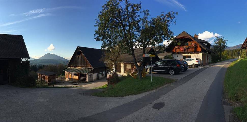 Bauernhof für 4 Personen, mit Terrasse und Garten in Spital am Pyhrn