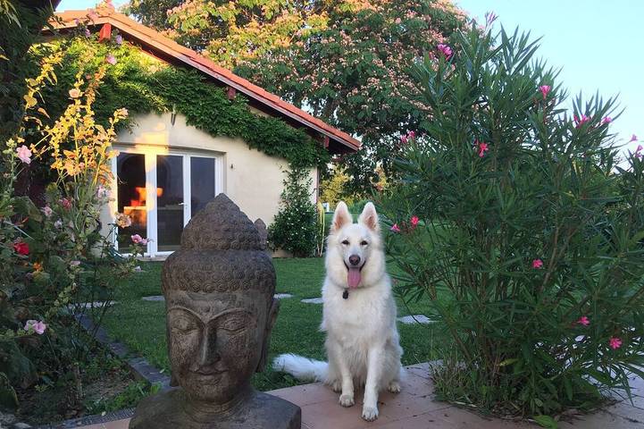 Gîte pour 6 personnes, avec piscine et jardin, animaux acceptés à Cagnotte (Landes)