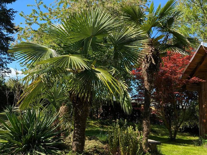 Ferienhaus für 4 Personen, mit Terrasse, kinderfreundlich in Sächsische Schweiz - 3