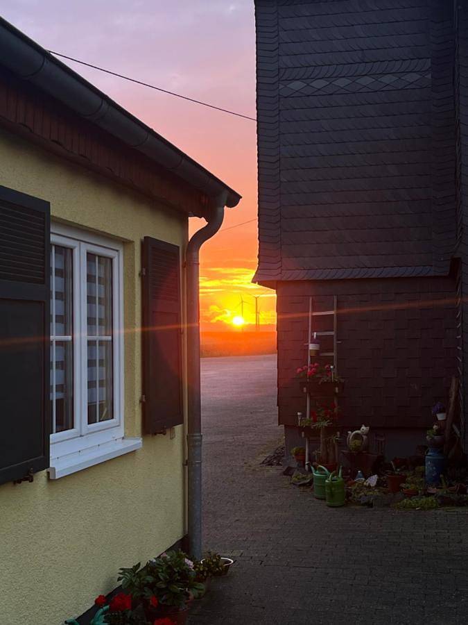 Gîte pour 3 personnes, avec vue et jardin, animaux acceptés dans Morsdorf - 3