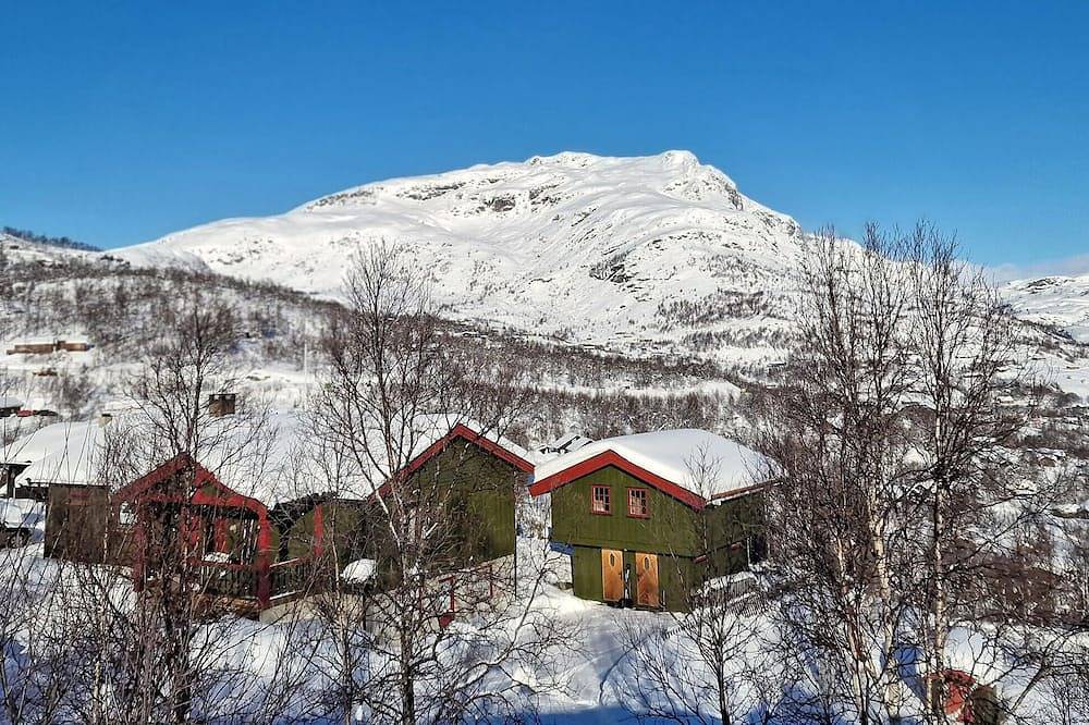 2 bedroom cozy home in Tyinkrysset in Tyin-Filefjell, Vang