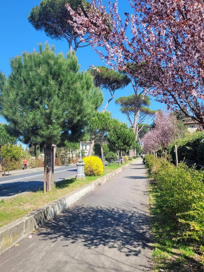 Villa with Private Pool in Firenze Centro storico, Firenze