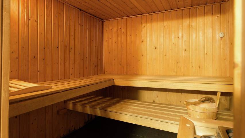 Location de vacances pour 9 personnes, avec sauna et piscine ainsi que jardin et jacuzzi à Waimes - 3