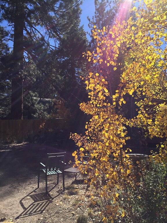 Charming Tahoe Cabin-2 Blocks to Lake, Avail Apr/May, Hot Tub, Pets Ok, Bikes! in Al Tahoe, South Lake Tahoe