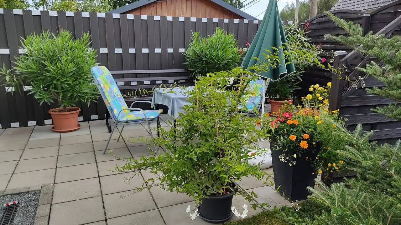 Ganze Ferienwohnung, Ferienwohnung für 2 Personen (50 m²) in Altenberg in Altenberg, Osterzgebirge