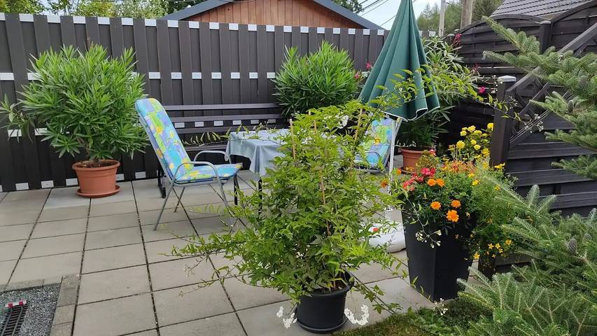 Ferienwohnung für 2 Personen, mit Garten und Whirlpool in Altenberg - 3