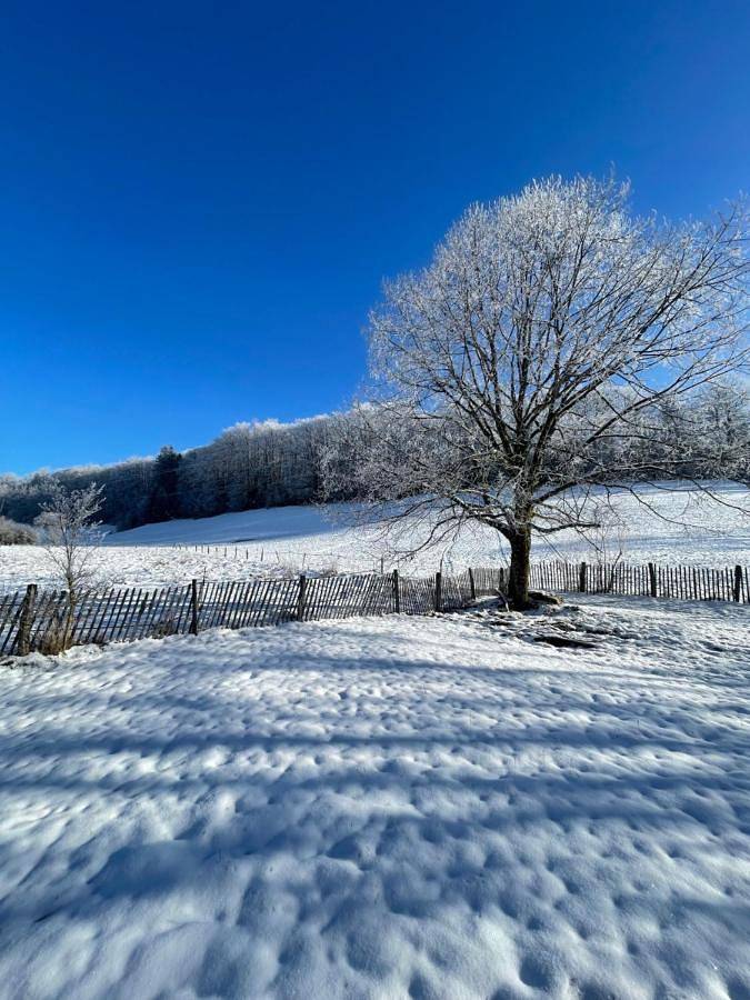 Gîte pour 4 personnes, avec vue et jardin, animaux acceptés dans Cascades du Hérisson - 3