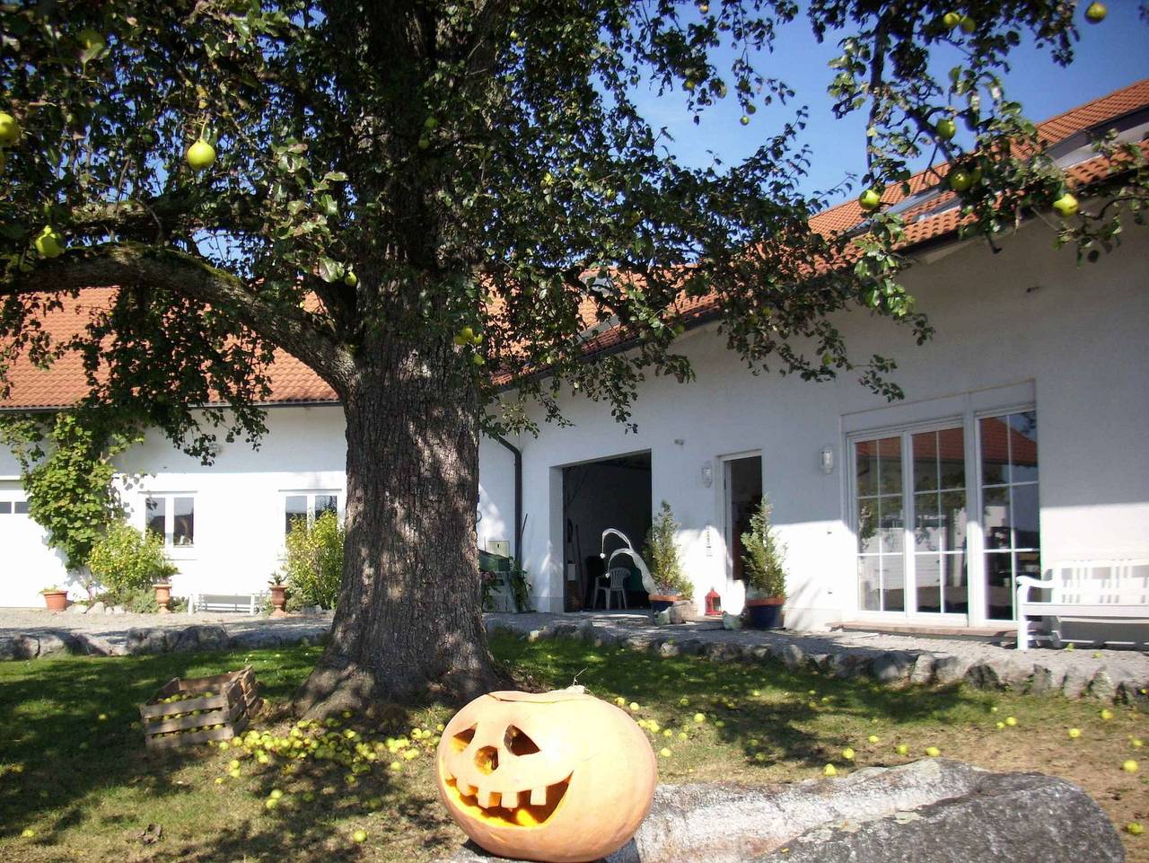 Ganze Ferienwohnung, Ferien- und Obsthof Sonnenhalde - Ferienwohnung 1, 50qm,  1 Schlafzimmer, max. 4 Personen in Bodolz, Bayerisch Schwaben