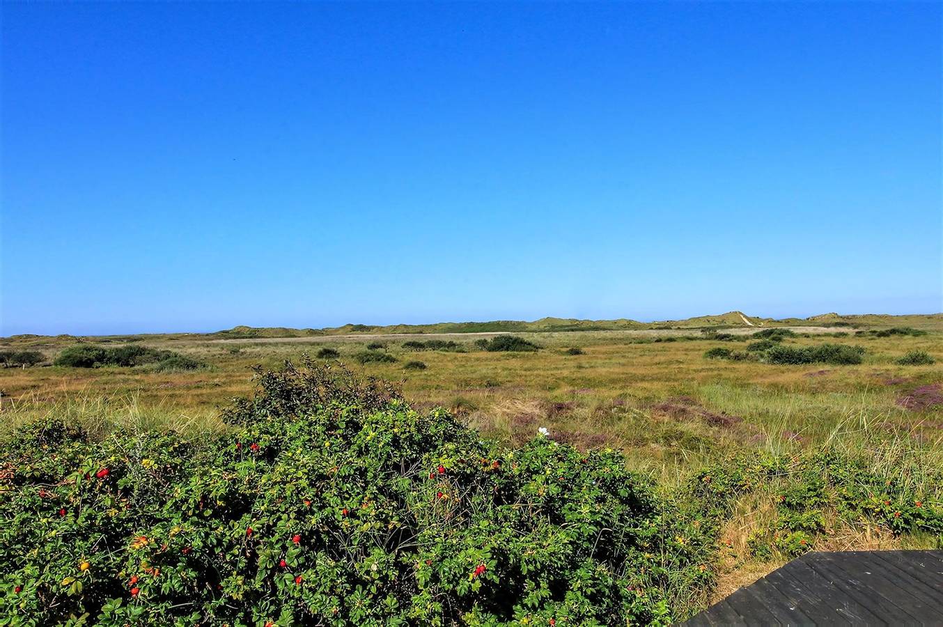 Pet friendly home in Rømø with sauna in Lakolk, Rømø