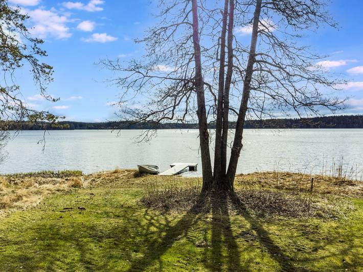 Keltalilja in Majoosselkä, Ikaalinen