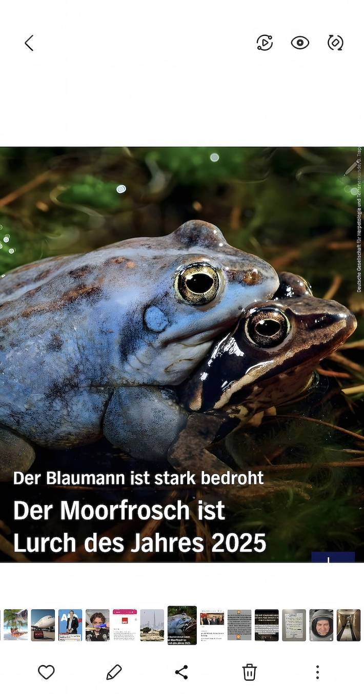 Ferienwohnung für 2 Personen, mit Garten in der Lüneburger Heide - 3