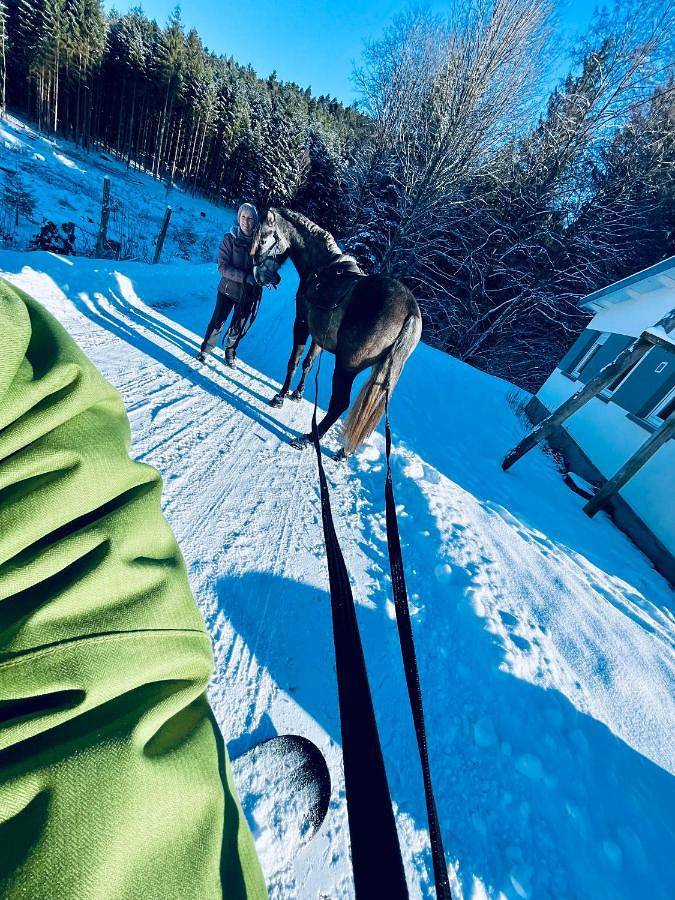 Maison d’hôte pour 8 personnes, avec jardin et jacuzzi dans les Vosges - 4