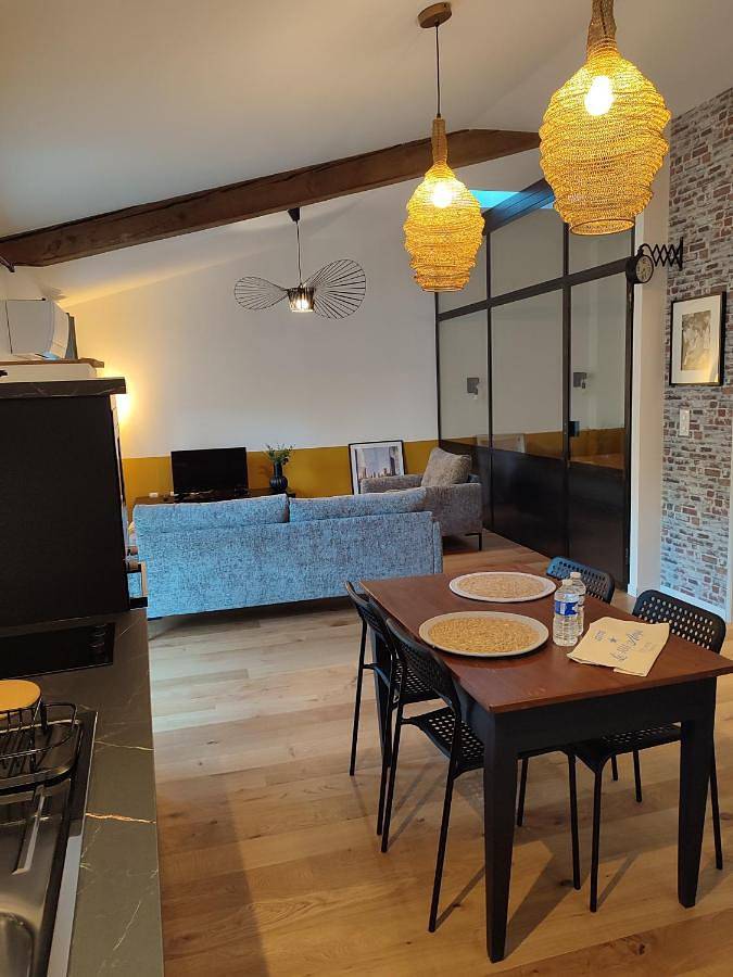 Appartement de vacances entier, Le petit 1881 in Ampuis, Lyon et ses environs