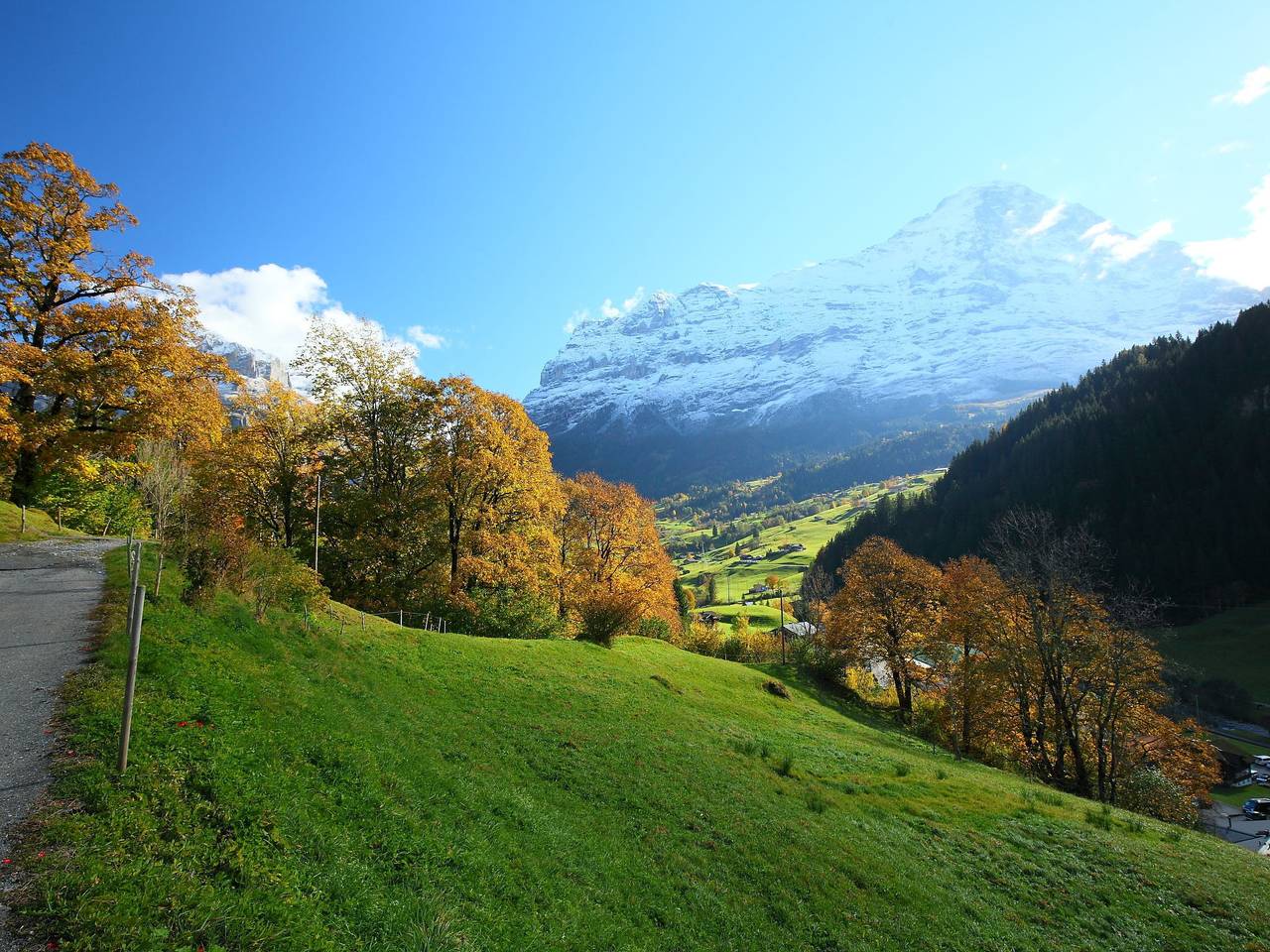 Appartement entier, Chalet Auf dem Vogelstein in Grindelwald, Arrondissement administratif d'Interlaken-Oberhasli