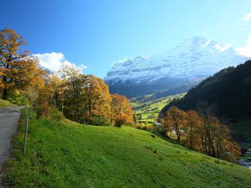 Hütte für 2 Personen in Schwendi b. Grindelwald, Grindelwald, Bild 4