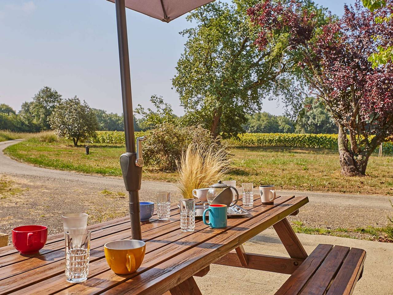 Gîte au cœur de la nature - 6 pers. in Caupenne-d'Armagnac, Gers