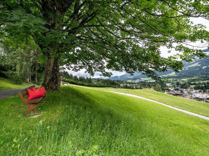 Ferienhaus für 4 Personen, mit Garten und Balkon in Saalbach-Hinterglemm-Leogang - 3