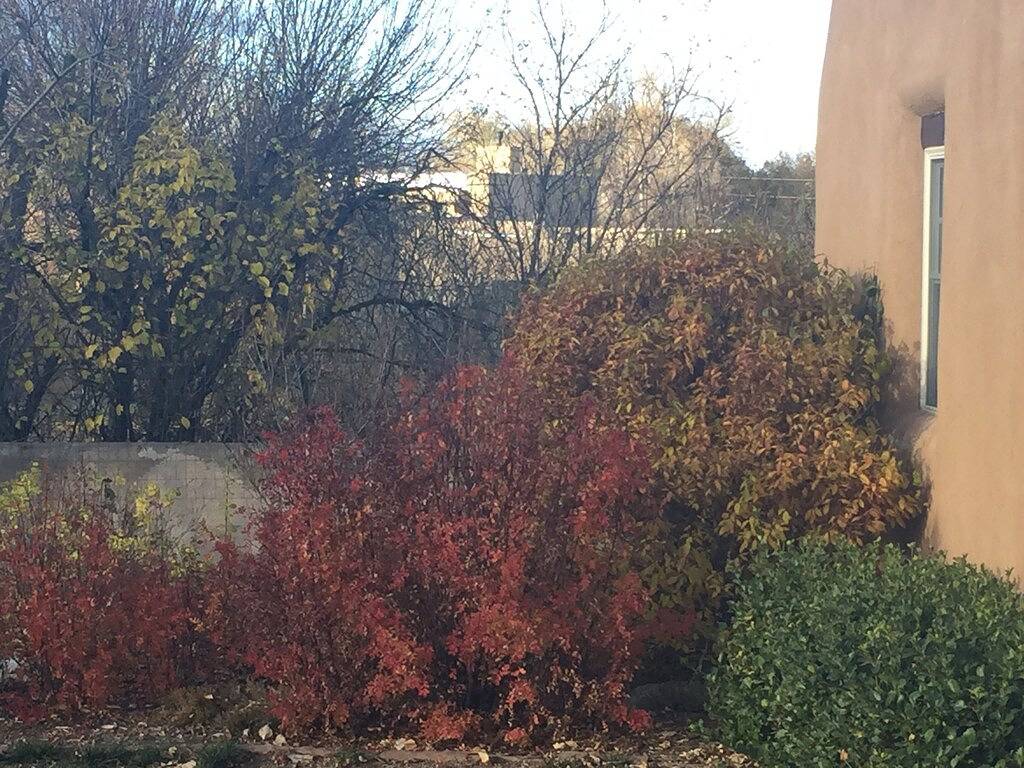 Ruhig und geräumig - sehr nahe zu Fuß (5 Blocks) zum Historic Plaza Restaurants und Einkaufsmöglichkeiten in Taos, Taos County