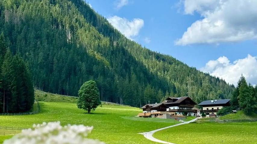 Ferienwohnung für 3 Personen, mit Terrasse und Pool sowie Sauna in Flachau - 3