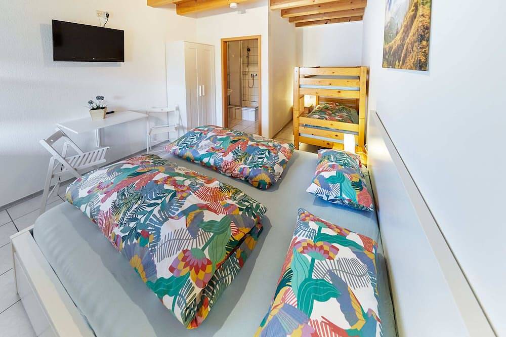 Geheel appartement, Beautiful 1-room apartment with bathroom & Wc - just a 10-minute walk from Europa-Park in Europa-Park, Rust