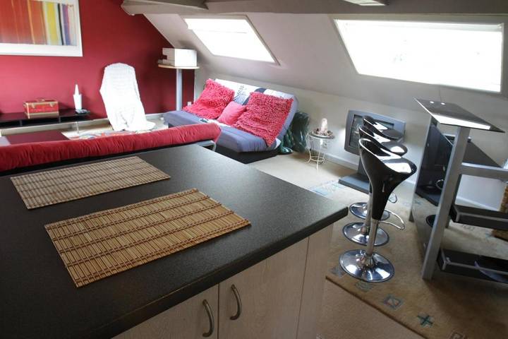 Gîte pour 4 personnes, avec jardin et terrasse, animaux acceptés à Bornem - 2