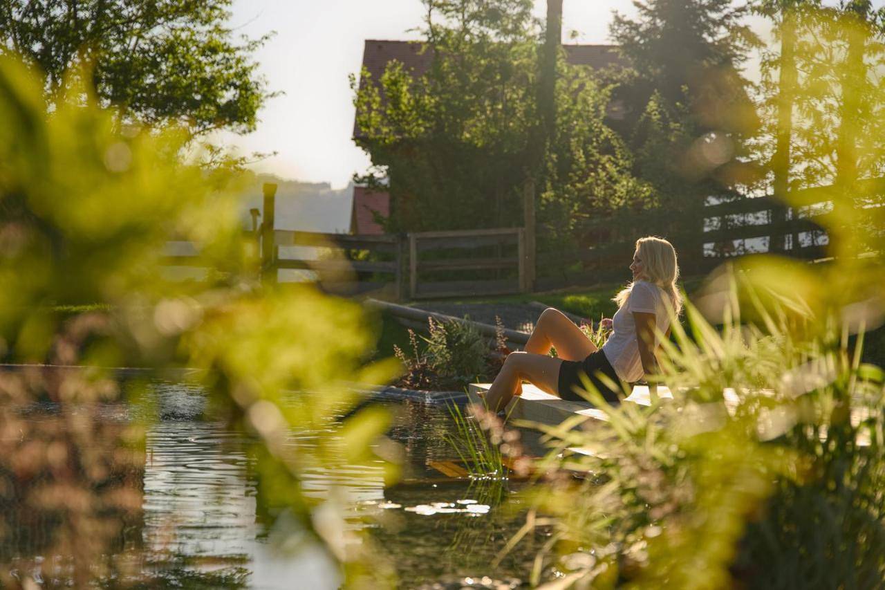 Bergchalet mit Wellness-Oase, Natur Pur in Pöllauberg, Steirerland