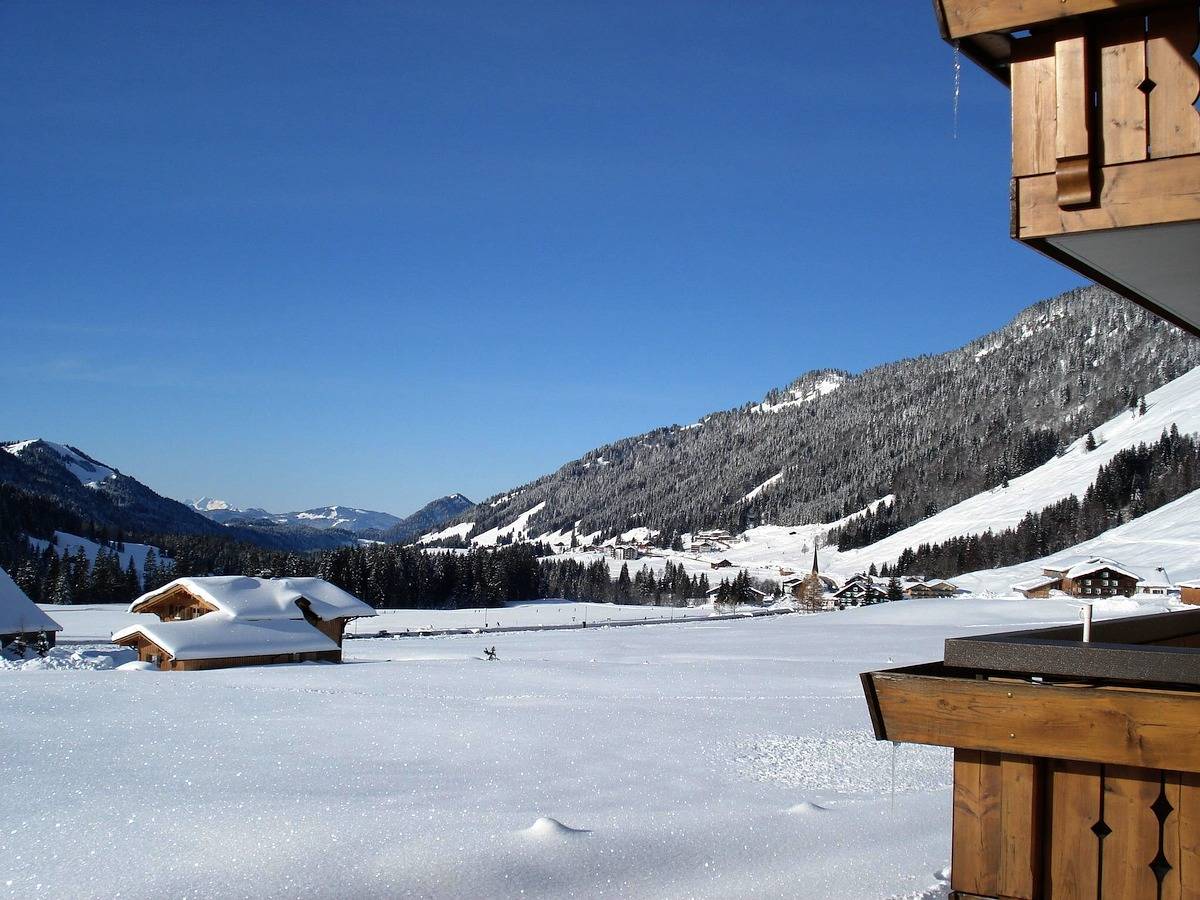 Ganze Ferienwohnung, Fewo 1 Dachsbau in Balderschwang, Bayerisch Schwaben