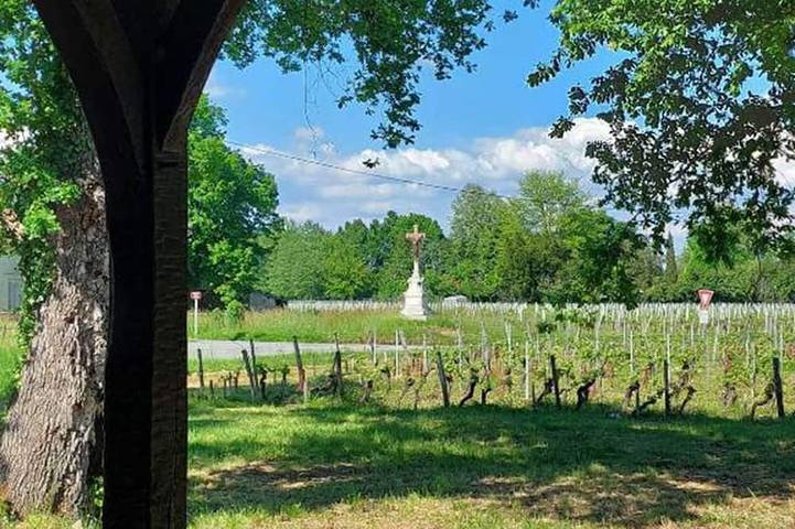 Gîte pour 6 personnes, avec balcon à Lalande-de-Pomerol - 4