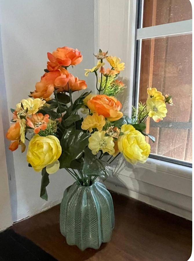 Location de vacances pour 2 personnes, avec terrasse et vue, animaux acceptés à La Redorte - 2