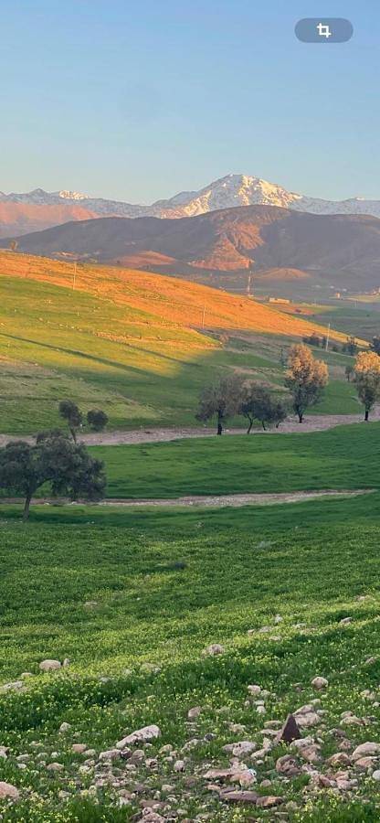 Maison d’hôte pour 2 personnes, avec terrasse ainsi que piscine et jardin à Tahannaout - 4
