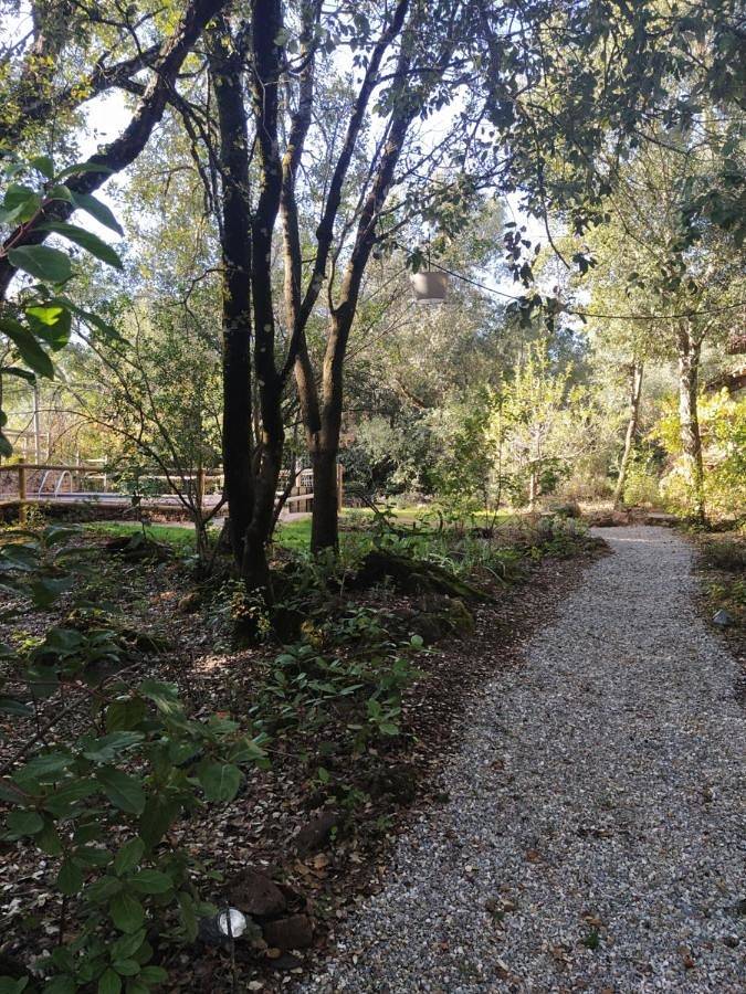 Casa rural para 12 personas, con piscina además de jardín y vistas, Se admiten mascotas en Castaño del Robledo - 3