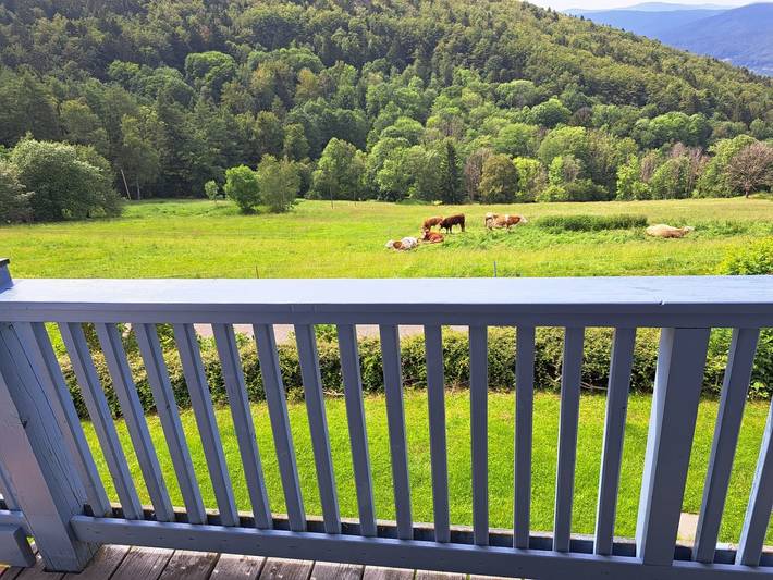 Ferienwohnung für 3 Personen, mit Ausblick und Garten