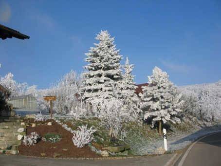 Ferienhaus für 3 Personen, mit Terrasse und Garten sowie Sauna, kinderfreundlich in Bayern - 4