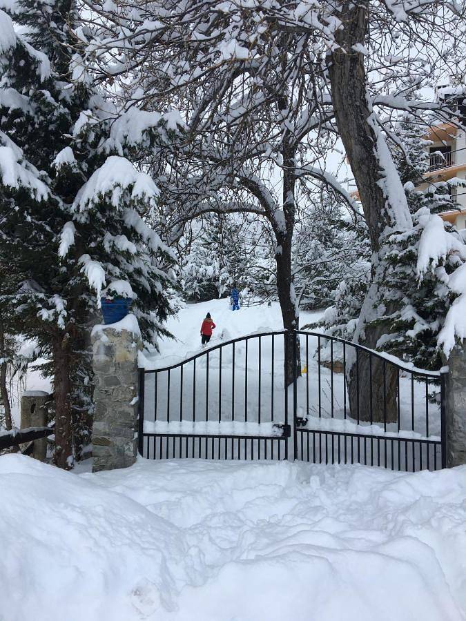Chalet pour 8 personnes, avec vue et jardin dans Auron - 2