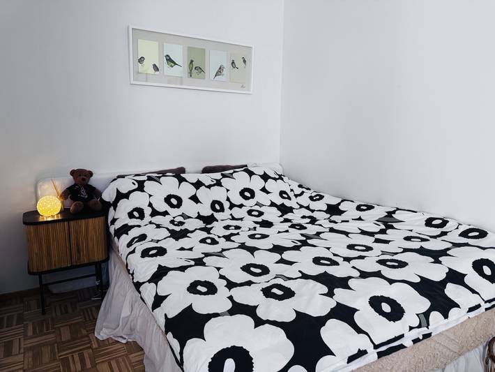 Ganze Wohnung, Charmantes Apartment im Vintage-Stil im Herzen des Zentrums von Helsinki in Helsinki, Uusimaa