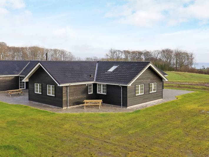 Ferienhaus für 26 Personen, mit Whirlpool und Terrasse sowie Garten und Pool in Tårup - 4