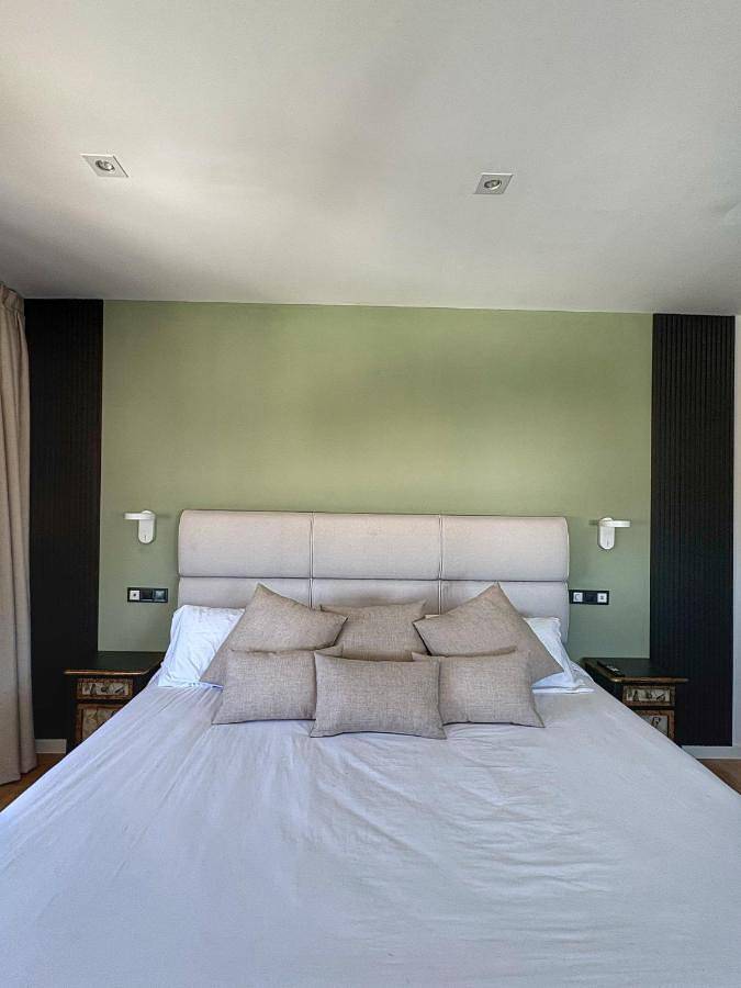 Hotel para 2 personas, con Terraza además de Jardín y Vistas en Campo de Peñafiel - 3
