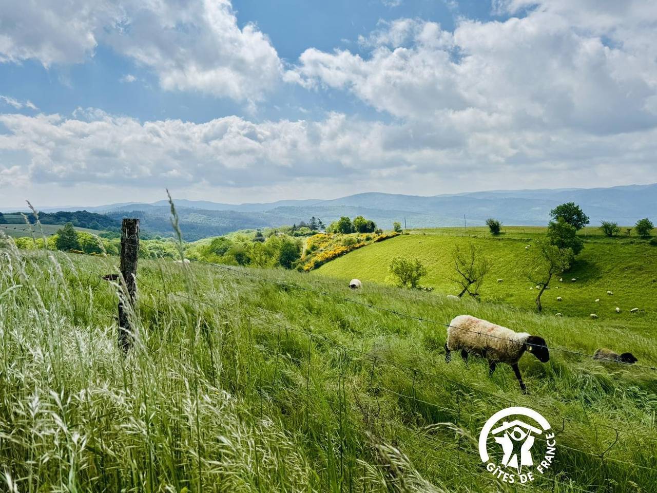 Domaine des Goudis Gîte Aiga in Bouisse, Parc naturel régional Corbières-Fenouillèdes