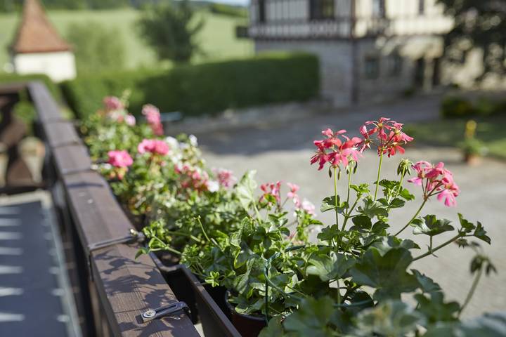 Ferienhaus für 5 Personen, mit Garten und Sauna, kinderfreundlich in Mittelfranken - 3